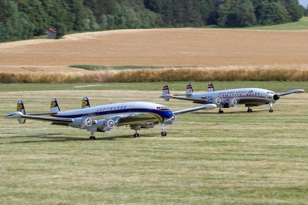 Explorez des colliers uniques et élégants pour chaque occasion